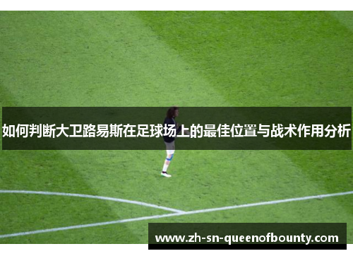 如何判断大卫路易斯在足球场上的最佳位置与战术作用分析