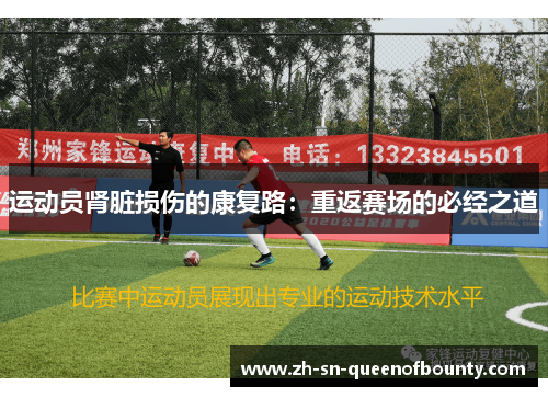 运动员肾脏损伤的康复路:重返赛场的必经之道 运动员肾脏损伤的康复路:重返赛场的必经之道
