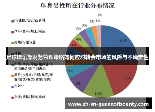 足球俱乐部财务管理策略如何应对转会市场的风险与不确定性